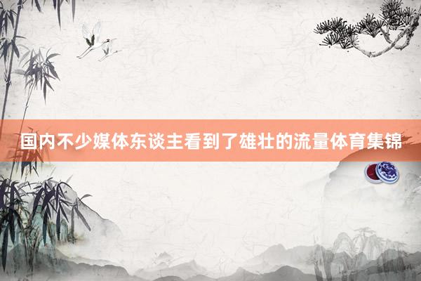 国内不少媒体东谈主看到了雄壮的流量体育集锦