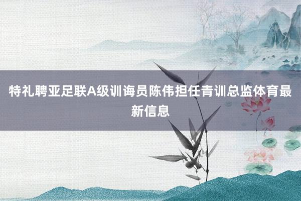特礼聘亚足联A级训诲员陈伟担任青训总监体育最新信息