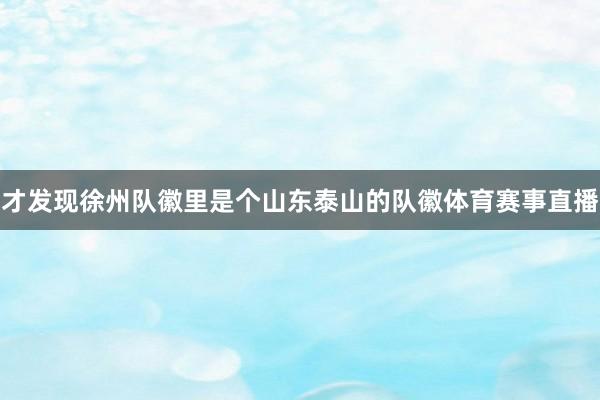 才发现徐州队徽里是个山东泰山的队徽体育赛事直播