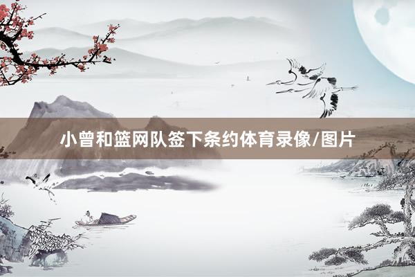 小曾和篮网队签下条约体育录像/图片