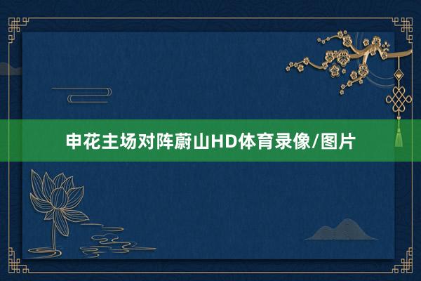 申花主场对阵蔚山HD体育录像/图片