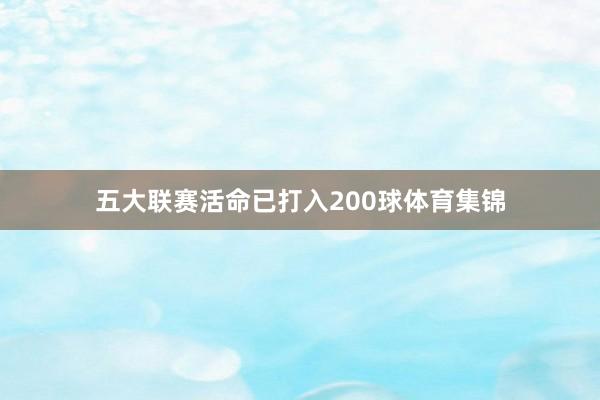 五大联赛活命已打入200球体育集锦