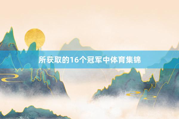 所获取的16个冠军中体育集锦