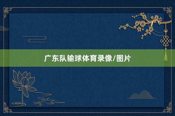 广东队输球体育录像/图片
