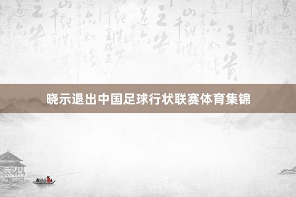 晓示退出中国足球行状联赛体育集锦