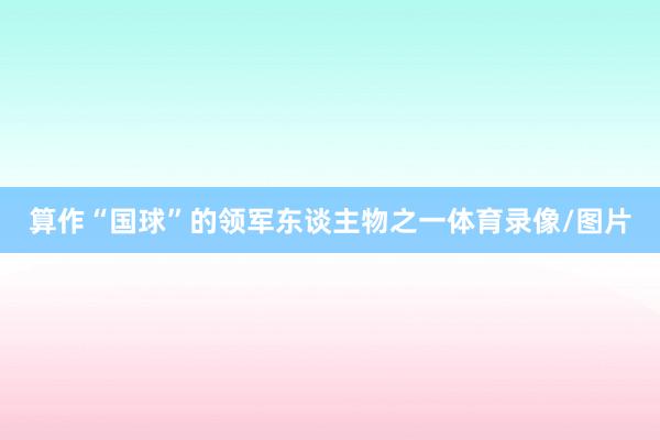 算作“国球”的领军东谈主物之一体育录像/图片