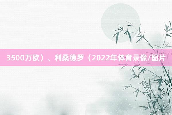 3500万欧）、利桑德罗（2022年体育录像/图片