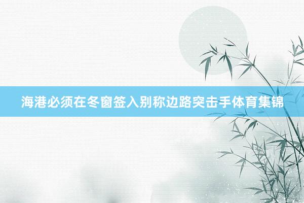 海港必须在冬窗签入别称边路突击手体育集锦