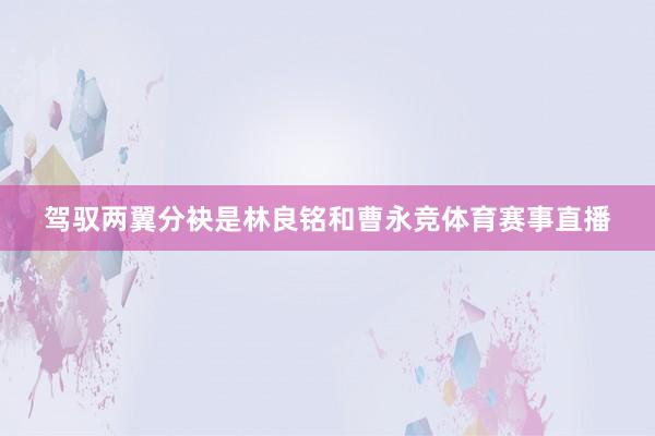 驾驭两翼分袂是林良铭和曹永竞体育赛事直播