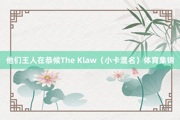 他们王人在恭候The Klaw(小卡混名)体育集锦