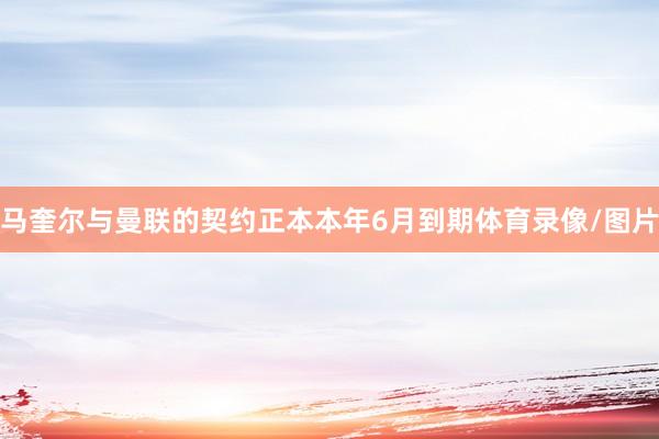 马奎尔与曼联的契约正本本年6月到期体育录像/图片