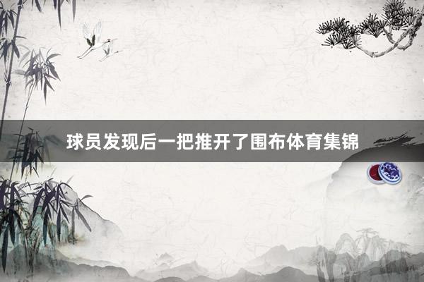 球员发现后一把推开了围布体育集锦
