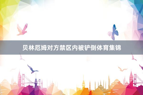 贝林厄姆对方禁区内被铲倒体育集锦