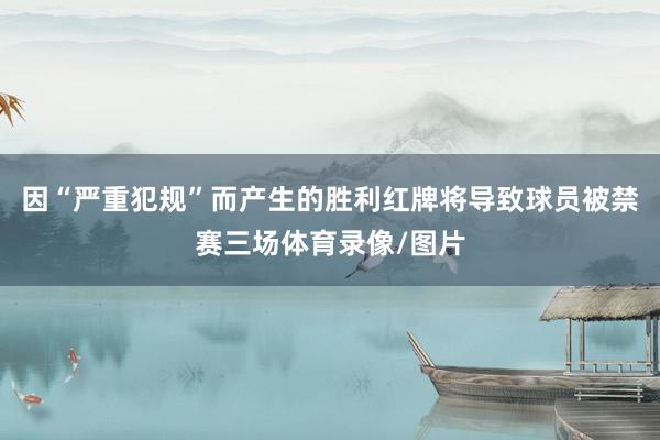 因“严重犯规”而产生的胜利红牌将导致球员被禁赛三场体育录像/图片