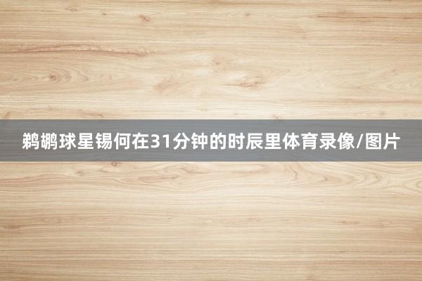 鹈鹕球星锡何在31分钟的时辰里体育录像/图片