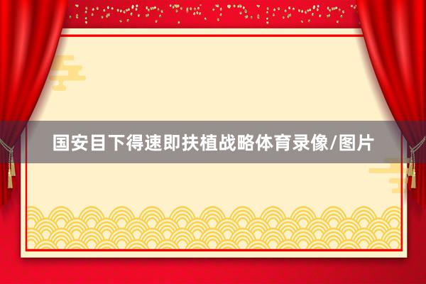 国安目下得速即扶植战略体育录像/图片