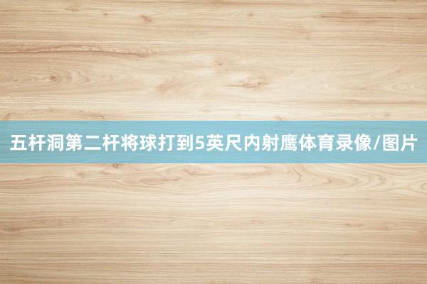 五杆洞第二杆将球打到5英尺内射鹰体育录像/图片