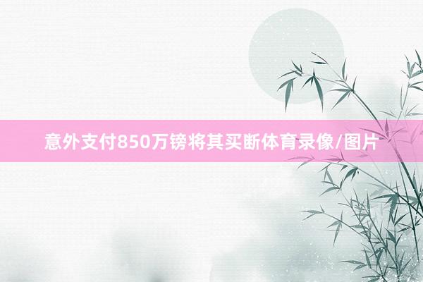 意外支付850万镑将其买断体育录像/图片