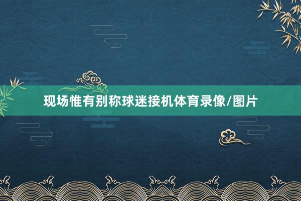 现场惟有别称球迷接机体育录像/图片