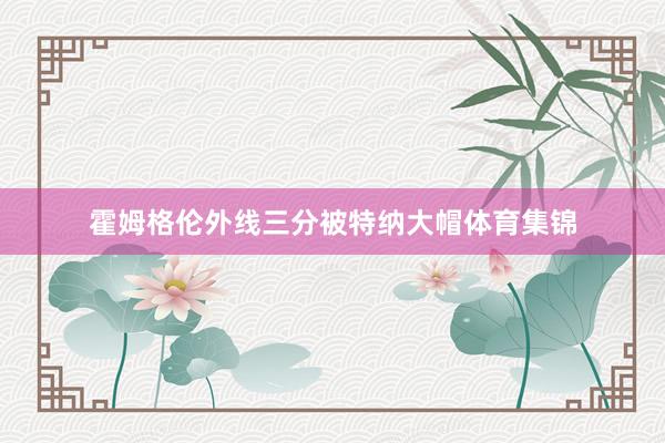 霍姆格伦外线三分被特纳大帽体育集锦