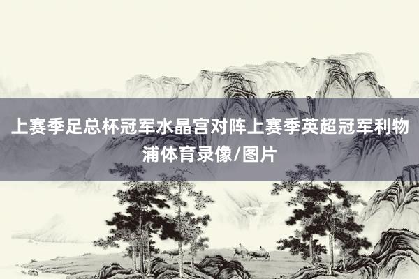 上赛季足总杯冠军水晶宫对阵上赛季英超冠军利物浦体育录像/图片