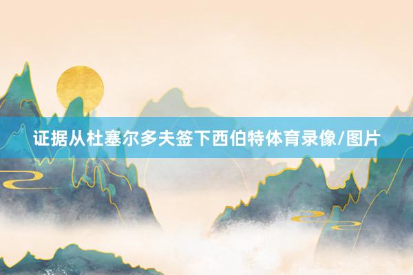 证据从杜塞尔多夫签下西伯特体育录像/图片