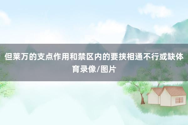 但莱万的支点作用和禁区内的要挟相通不行或缺体育录像/图片