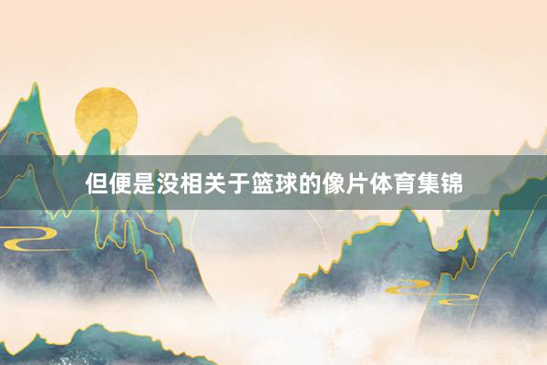 但便是没相关于篮球的像片体育集锦