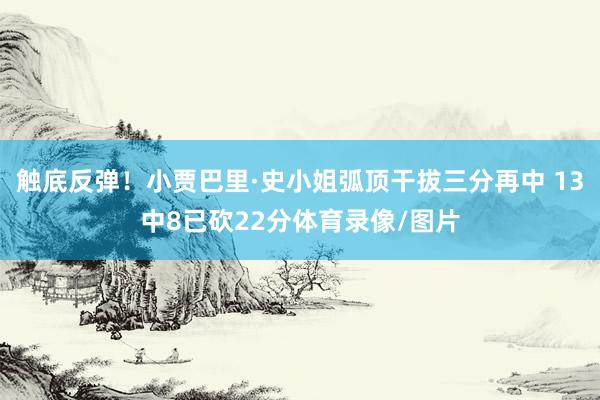 触底反弹！小贾巴里·史小姐弧顶干拔三分再中 13中8已砍22分体育录像/图片