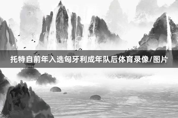 托特自前年入选匈牙利成年队后体育录像/图片