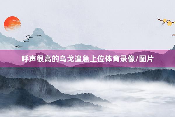 呼声很高的乌戈遑急上位体育录像/图片