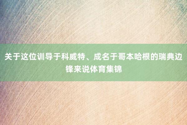 关于这位训导于科威特、成名于哥本哈根的瑞典边锋来说体育集锦