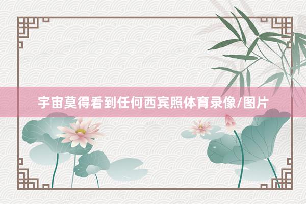 宇宙莫得看到任何西宾照体育录像/图片