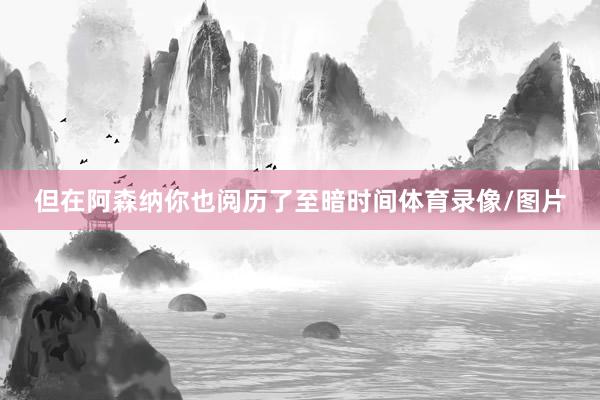 但在阿森纳你也阅历了至暗时间体育录像/图片