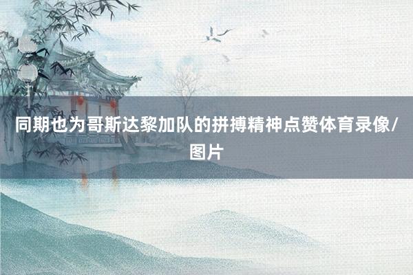 同期也为哥斯达黎加队的拼搏精神点赞体育录像/图片