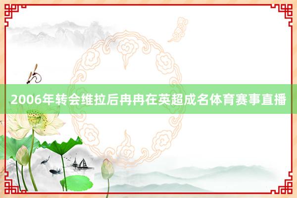 2006年转会维拉后冉冉在英超成名体育赛事直播