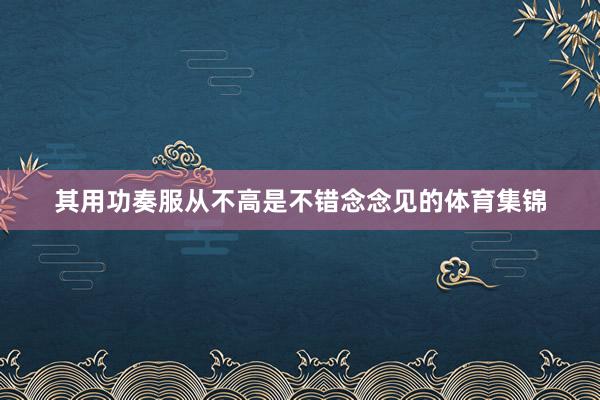 其用功奏服从不高是不错念念见的体育集锦