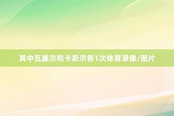 其中瓦塞尔和卡斯尔各1次体育录像/图片
