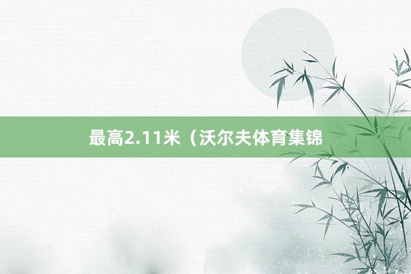 最高2.11米(沃尔夫体育集锦