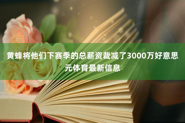 黄蜂将他们下赛季的总薪资裁减了3000万好意思元体育最新信息